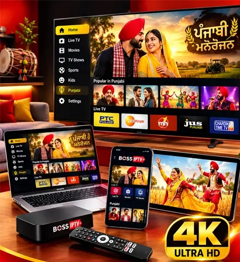 Choosing the Right Punjabi IPTV Service